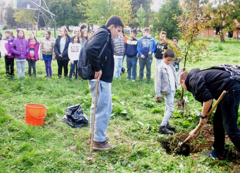 eTwinning tree campaign 2015